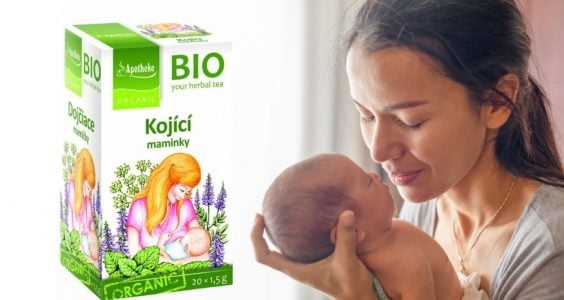 Apotheke kojící čaj