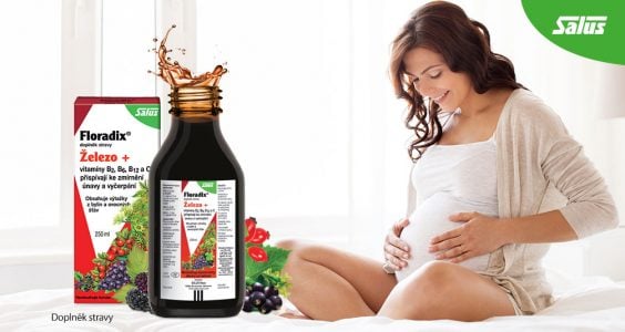 alus Floradix Železo+