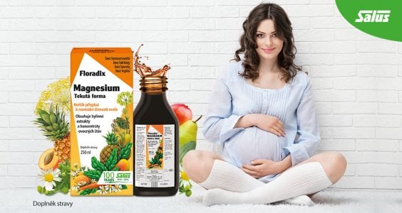 Salus Floradix Magnesium
