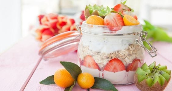 jogurt