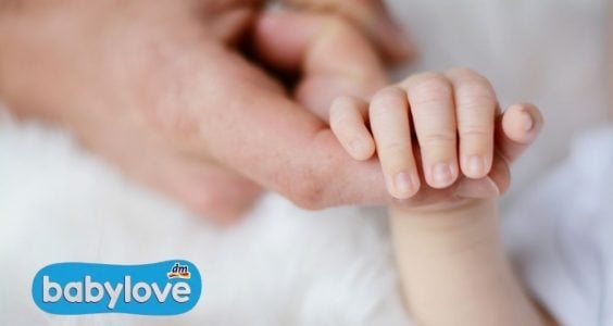 dm babylove