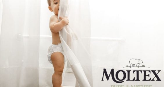 moltex