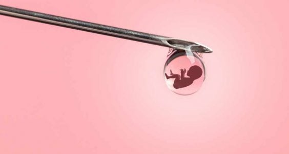 IVF zmražené embryo po 30 letech
