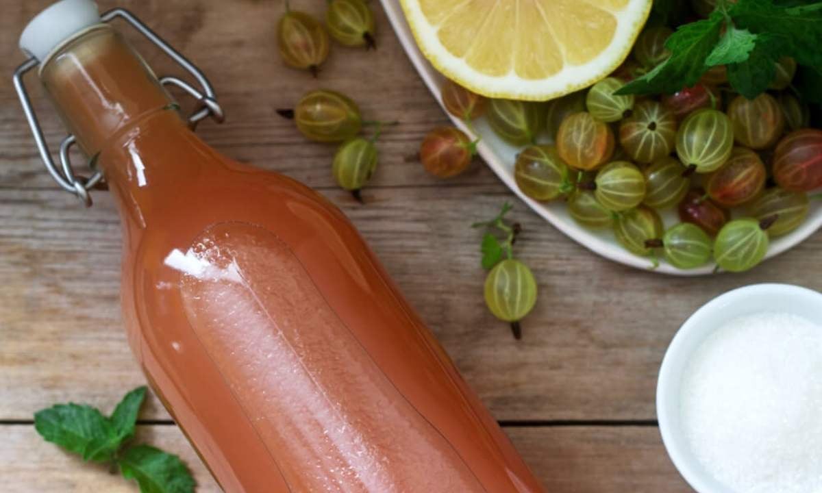 Sirup z angreštu s mátou