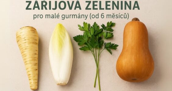 Zářijová zelenina pro malé gurmány (+6 m)