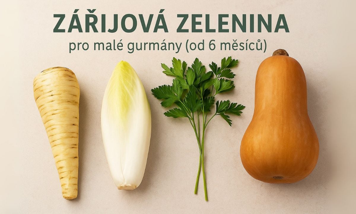 Zářijová zelenina pro malé gurmány (+6 m)