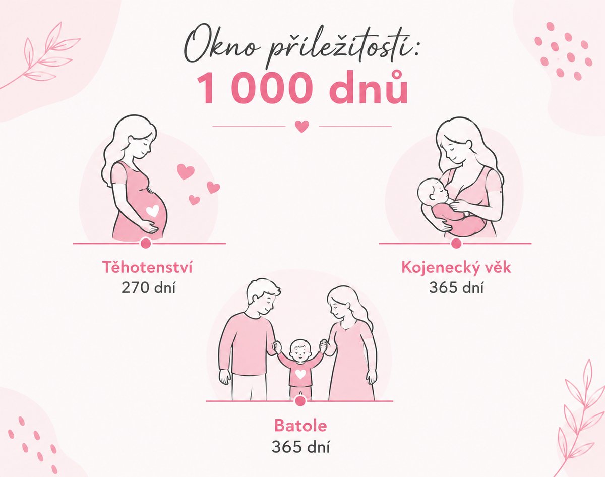 Prvních 1000 dní dítěte – těhotenství, kojenec a batole
